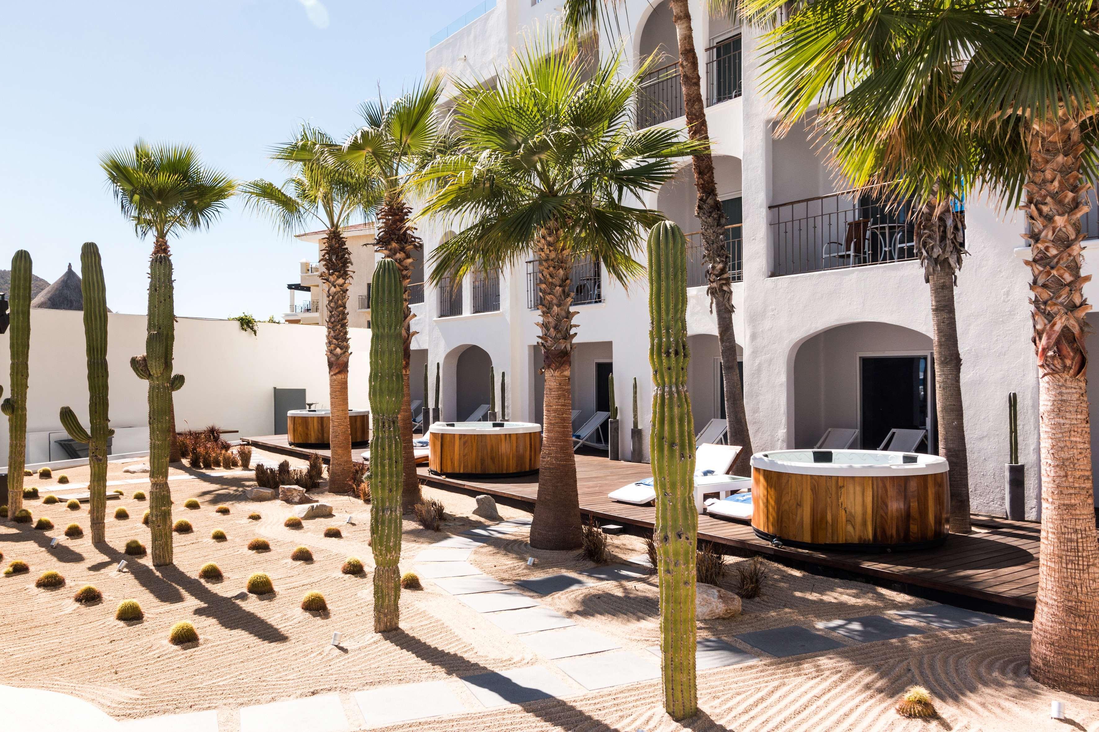 Me Cabo By Melia (Adults Only) Hotell Cabo San Lucas Eksteriør bilde